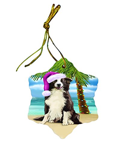 Summertime Border Collie Dog on Beach Christmas Star Ornament POR2988
