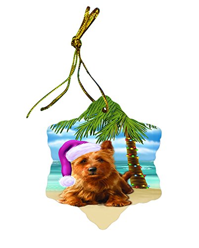Summertime Australian Terrier Dog on Beach Christmas Star Ornament POR2971