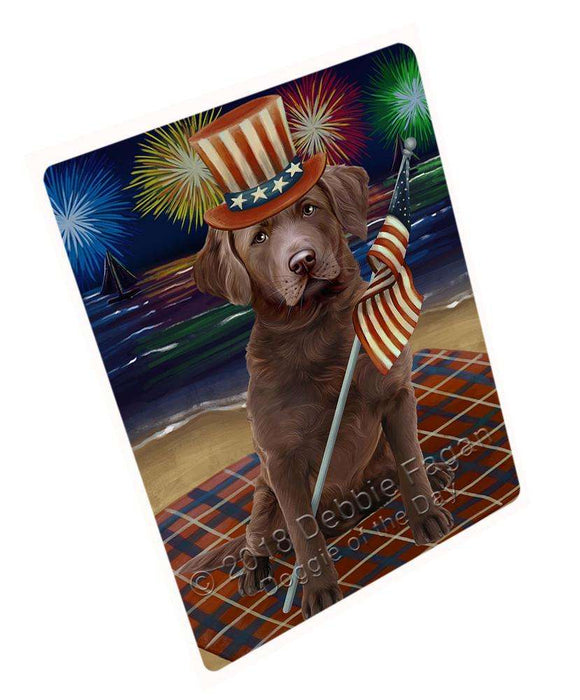 4th of July Independence Day Firework Chesapeake Bay Retriever Dog Blanket BLNKT55452 (37x57 Sherpa)