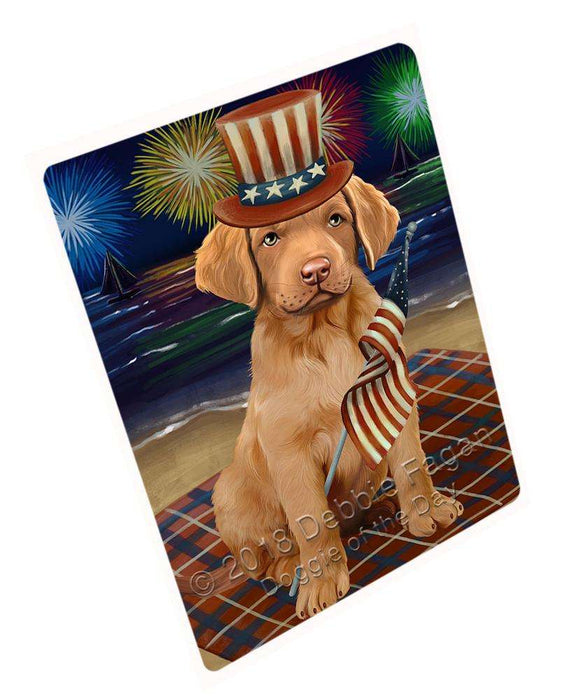 4th of July Independence Day Firework Chesapeake Bay Retriever Dog Blanket BLNKT55470 (37x57 Sherpa)