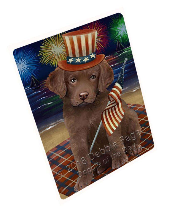 4th of July Independence Day Firework Chesapeake Bay Retriever Dog Blanket BLNKT55479 (37x57 Sherpa)