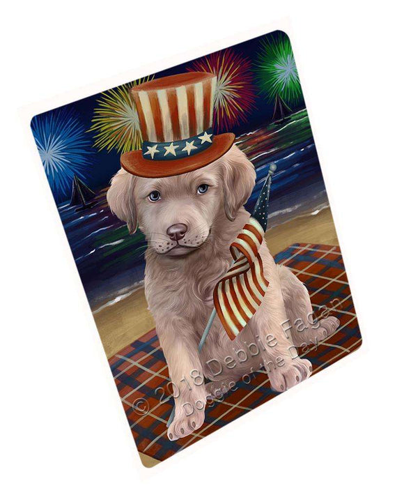 4th of July Independence Day Firework Chesapeake Bay Retriever Dog Blanket BLNKT55488 (37x57 Sherpa)