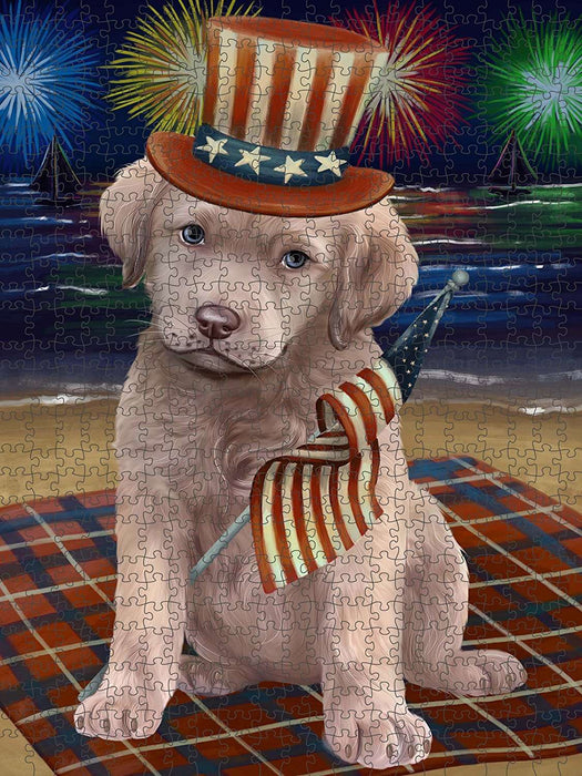 4th of July Independence Day Firework Chesapeake Bay Retriever Dog Puzzle with Photo Tin PUZL50811