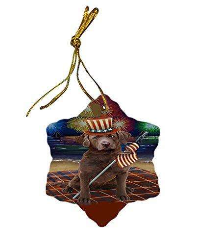 4th of July Independence Day Firework Chesapeake Bay Retriever Dog Star Porcelain Ornament SPOR48864