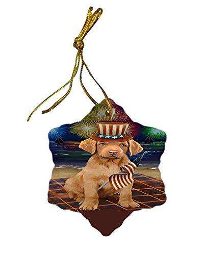 4th of July Independence Day Firework Chesapeake Bay Retriever Dog Star Porcelain Ornament SPOR48866