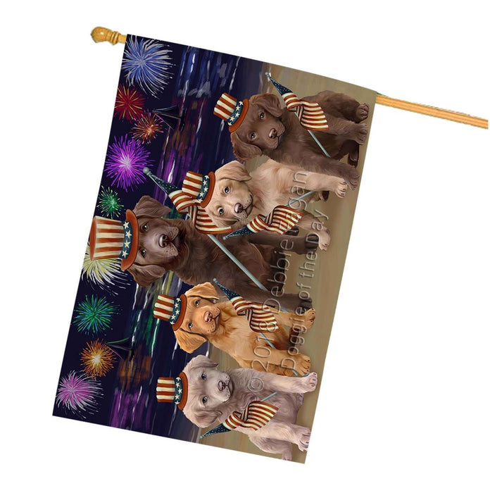 4th of July Independence Day Firework Chesapeake Bay Retrievers Dog House Flag FLG48838