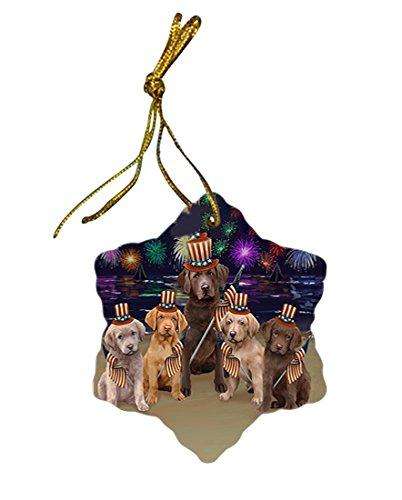 4th of July Independence Day Firework Chesapeake Bay Retrievers Dog Star Porcelain Ornament SPOR48865