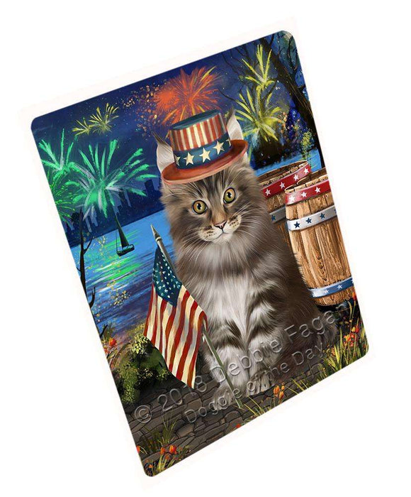 4th of July Independence Day Firework Maine Coon Cat Blanket BLNKT103827