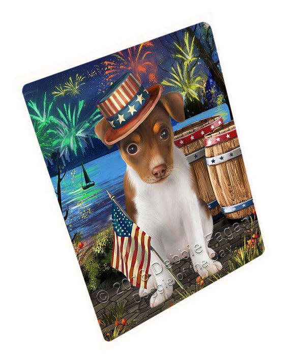 4th of July Independence Day Fireworks Rat Terrier Dog at the Lake Blanket BLNKT74982