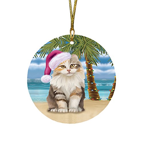 Summertime American Curl Cat on Beach Christmas Round Flat Ornament POR1591