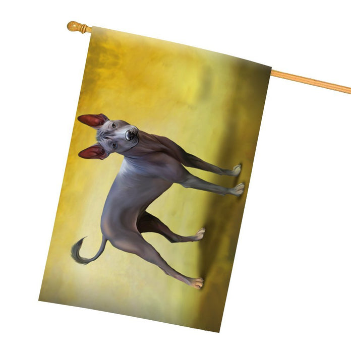 Xoloitzcuintle Dog All Weather House Flag