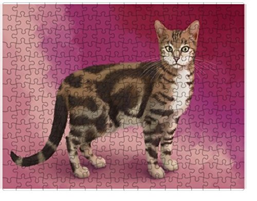 Sokoke Cat Puzzle with Photo Tin