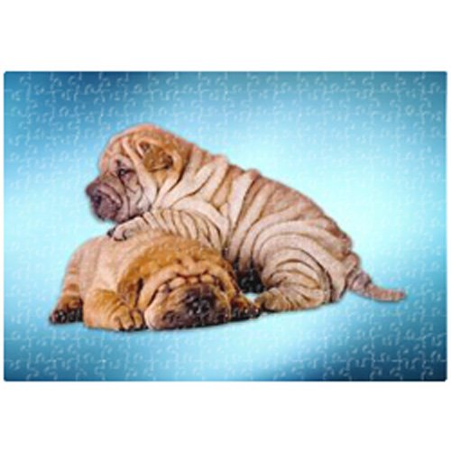 Shar Pei 500 Pc. Puzzle with Photo Tin