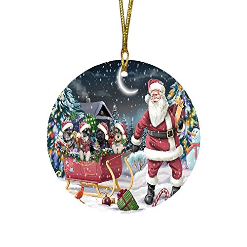 Santa Sled Dogs Schnauzer Christmas Round Flat Ornament POR1566