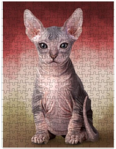 Sphynx Cat Puzzle with Photo Tin
