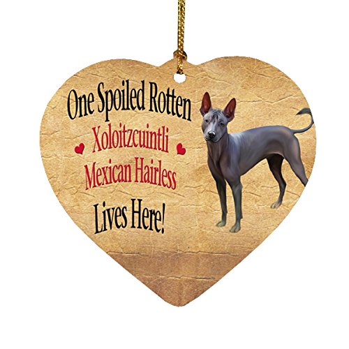 Spoiled Rotten Xoloitzcuintli Mexican Hairless Dog Heart Christmas Ornament