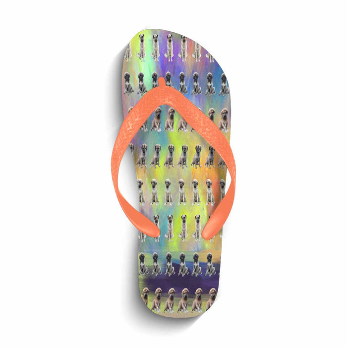 Flip Flops (For both Men and Women) (Model040)