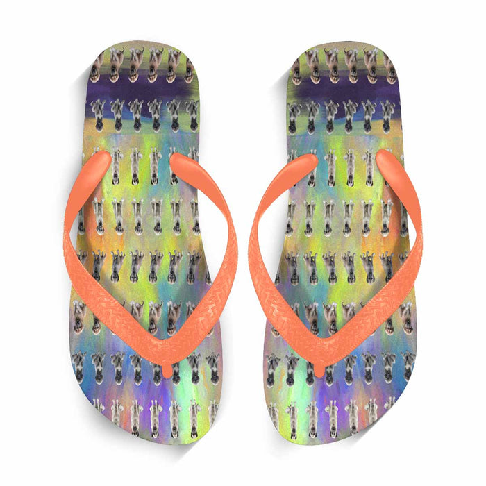 Flip Flops (For both Men and Women) (Model040)