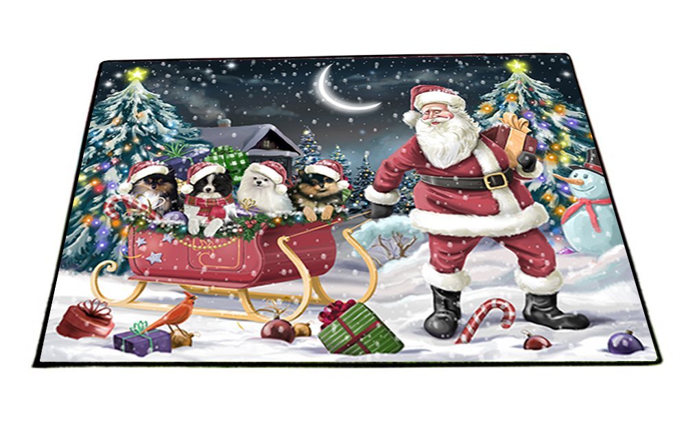 Santa Sled Dogs Christmas Happy Holidays Pomeranian Indoor/Outdoor Floormat FML0021
