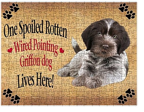 Spoiled Rotten Wirehaired Pointing Griffon Puppy Dog Puzzle with Photo Tin