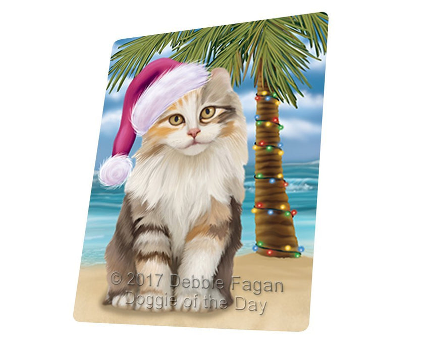 Summertime Happy Holidays Christmas American Curl Cat on Tropical Island Beach Large Refrigerator / Dishwasher Magnet D152