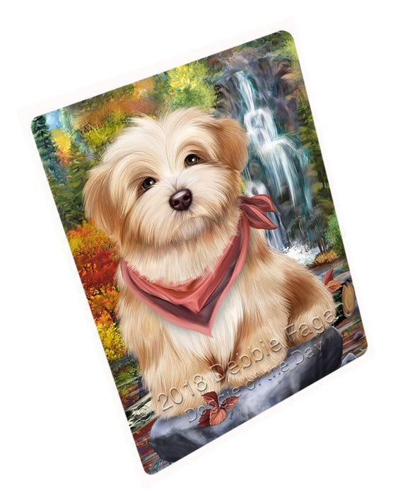 Scenic Waterfall Havanese Dog Magnet Mini (3.5" x 2") MAG52194