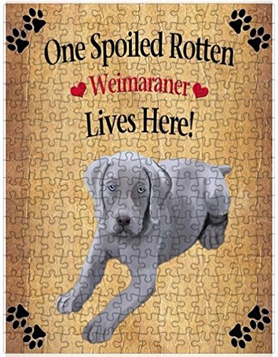Spoiled Rotten Weimaraner Puppy Dog Puzzle with Photo Tin