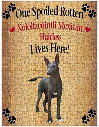 Spoiled Rotten Xoloitzcuintli Mexican Haireless Dog Puzzle with Photo Tin