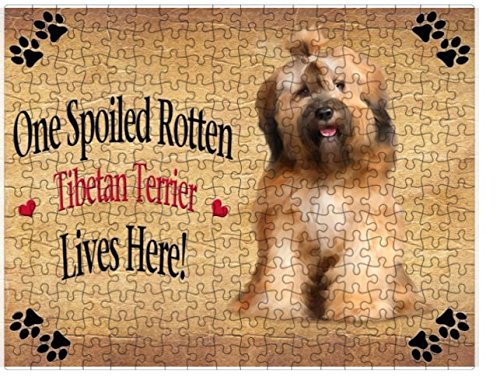 Spoiled Rotten Tibetan Terrier Dog Puzzle with Photo Tin
