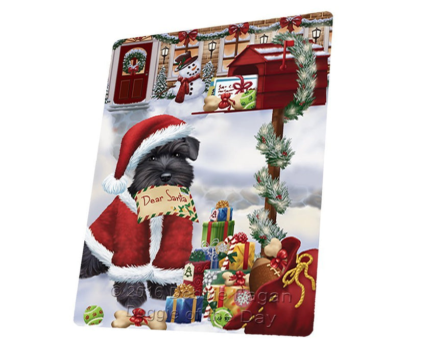 Schnauzers Dear Santa Letter Christmas Holiday Mailbox Dog Art Portrait Print Woven Throw Sherpa Plush Fleece Blanket