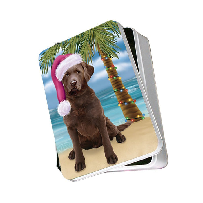 Summertime Chesapeake Bay Retriever Adult Dog on Beach Christmas Photo Storage Tin PTIN0540