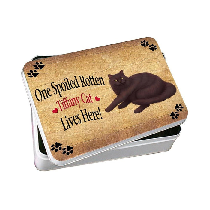 Tiffany Spoiled Rotten Cat Photo Storage Tin