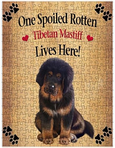 Spoiled Rotten Tibetan Mastiff Puppy Dog Puzzle with Photo Tin