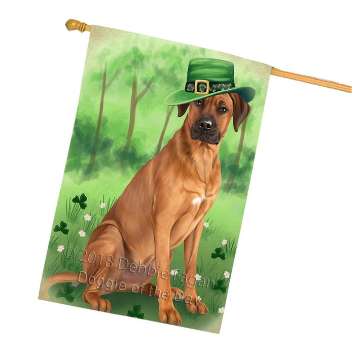 St. Patricks Day Irish Portrait Rhodesian Ridgeback Dog House Flag FLG49208