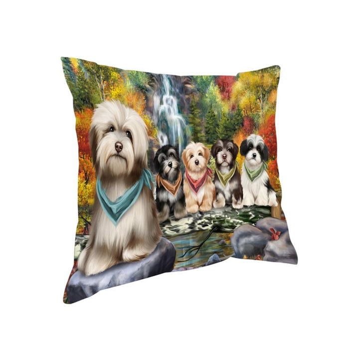 Scenic Waterfall Havanese Dogs Pillow PIL53616