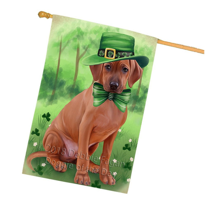 St. Patricks Day Irish Portrait Rhodesian Ridgeback Dog House Flag FLG49210