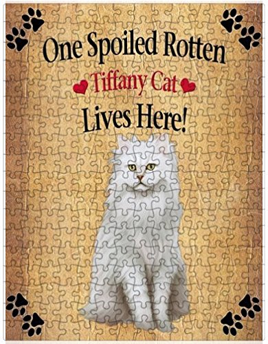 Spoiled Rotten Tiffany Cat Puzzle with Photo Tin