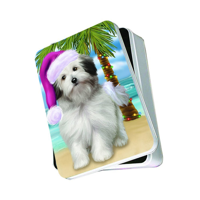 Summertime Bolognese Dog on Beach Christmas Photo Storage Tin PTIN0763