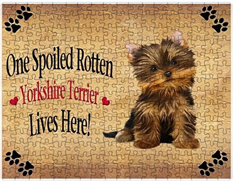 Spoiled Rotten Yorkshire Terrier Dog Puzzle with Photo Tin (300 pc.)