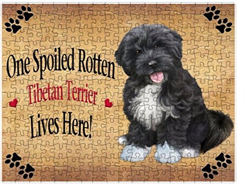 Spoiled Rotten Tibetan Terrier Dog Puzzle with Photo Tin