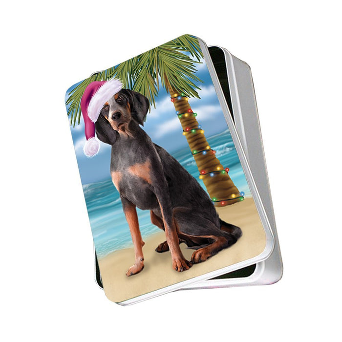 Summertime American English Coonhound Dog on Beach Christmas Photo Storage Tin PTIN0556