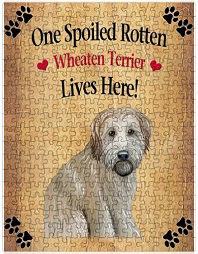 Spoiled Rotten Wheaten Terrier Dog Puzzle with Photo Tin (300 pc.)