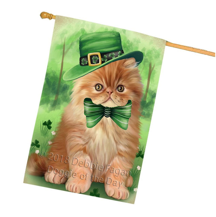 St. Patricks Day Irish Portrait Persian Cat House Flag FLG49178
