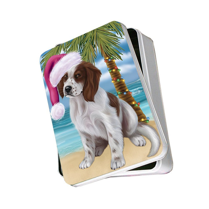 Summertime Irish Setter Puppy on Beach Christmas Photo Storage Tin PTIN0736