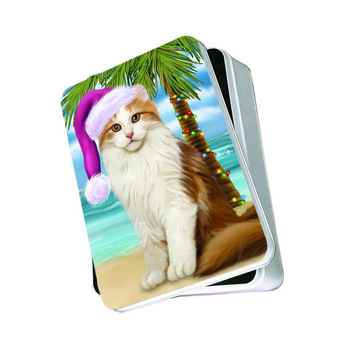 Summertime American Curl Cat on Beach Christmas Photo Storage Tin PTIN0742