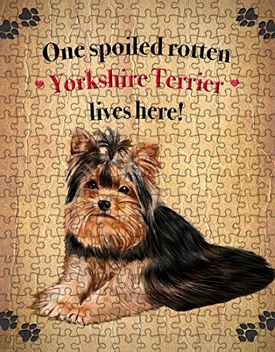 Yorkshire Terrier Spoiled Rotten Dog Puzzle with Photo Tin