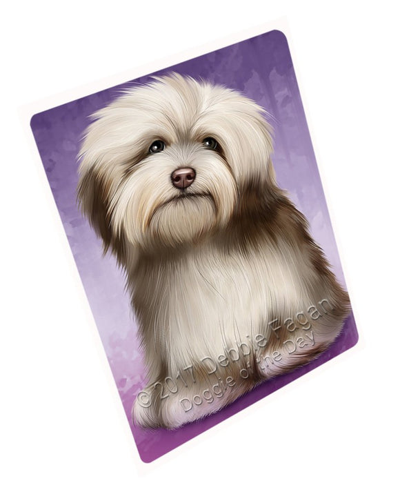 Havanese Dog Magnet Mini (3.5" x 2") MAG48966