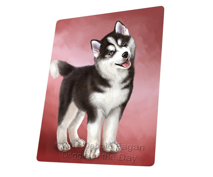 Siberian Husky Dog Blanket BLNKT49053