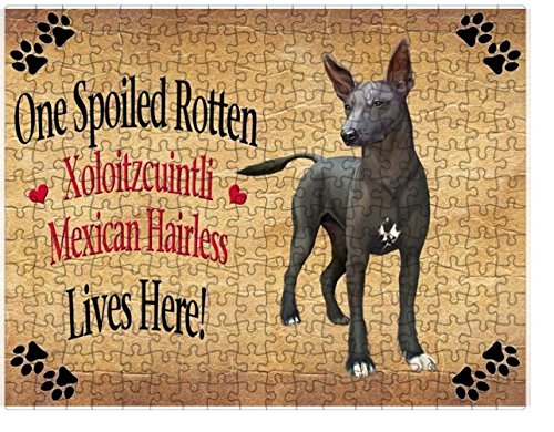 Spoiled Rotten Xoloitzcuintli Mexican Haireless Dog Puzzle with Photo Tin