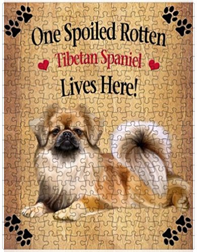 Spoiled Rotten Tibetan Spaniel Dog Puzzle with Photo Tin